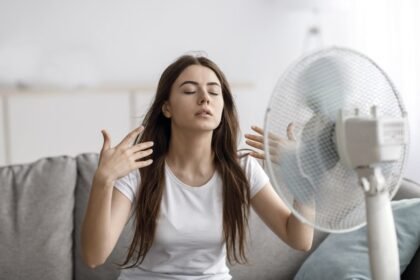 вентилятор