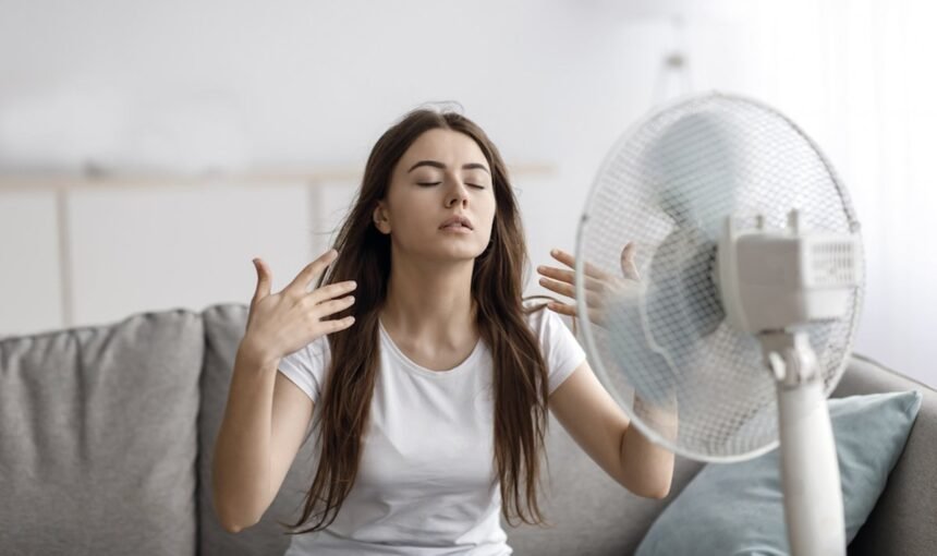 вентилятор